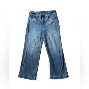 Y8- J. Crew Wide-Leg Vintage Blue Denim Jeans Classic Wide Leg size 32